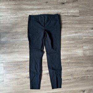 The Limited Exact Stretch Skinny Pants (2R)